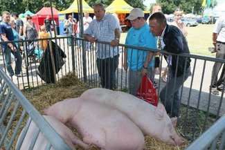 26 czerwca br. Dzień Otwartych Drzwi w Lubelskim Ośrodku Doradztwa Rolniczego w Końskowoli. Ośrodek świętował też 60-lecie swojej działalności. Fot. AgnieszkaAntoń-Jucha
