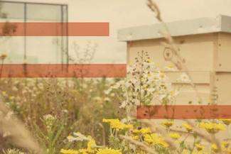 fot. materiały prasowe