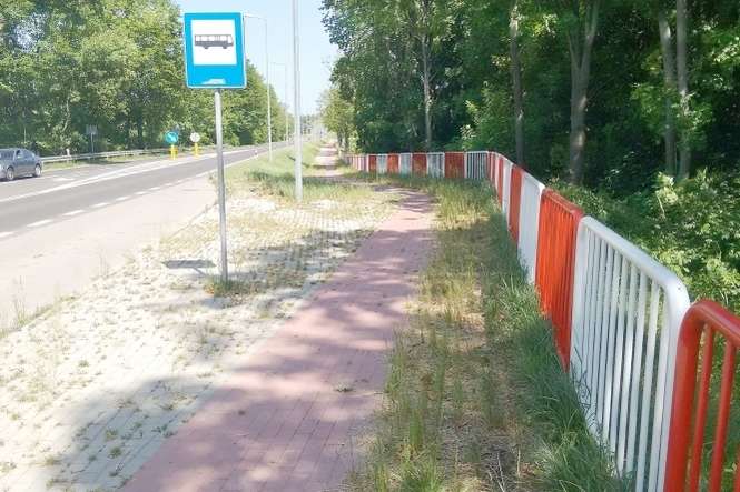 Tak zarasta ścieżka rowerowa w okolicach Goraja, przy świeżo wyremontowanym odcinku drogi 835