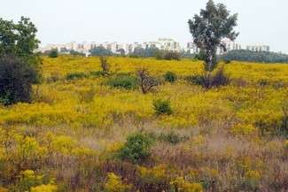 Fot. Maciej Kaczanowski