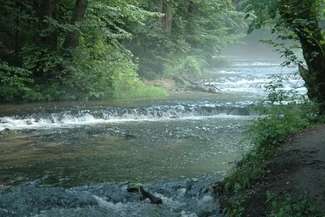 Roztoczańskie Szumy
