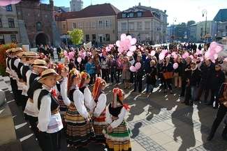 Ubiegłoroczny Marsz Różowej Wstążki (fot. COZL)