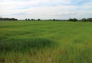 Tereny przy ul. Hrubieszowskiej w Zamościu (fot. materiały PAIiZ)