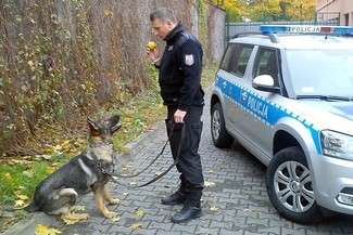 fot. Policja