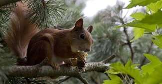 Warsztaty przyrodnicze dla dzieci w CK