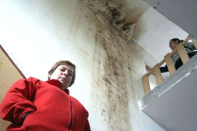 - Proszę zobaczyć, jaki jest grzyb na ścianie, bo dach przecieka po stronie sąsiadów - pokazuje pani Halina