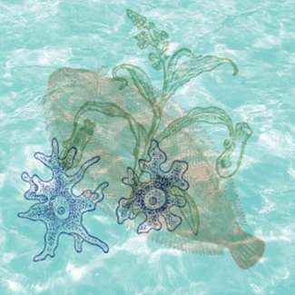 "Pod taflą wody": Warsztaty dla rodzin w DDK Czuby Południowe