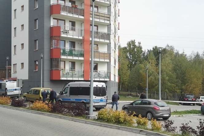 Do tragedii doszło przy ul. Onyksowej w Lublinie (fot. Czytelnik / Alarm 24)