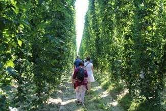 Chmielnik w Karczmiskach