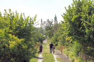 Ogródki działkowe latem. Tu miasto widziałoby wodę, plażę i wyspy (fot. Maciej Kaczanowski)
