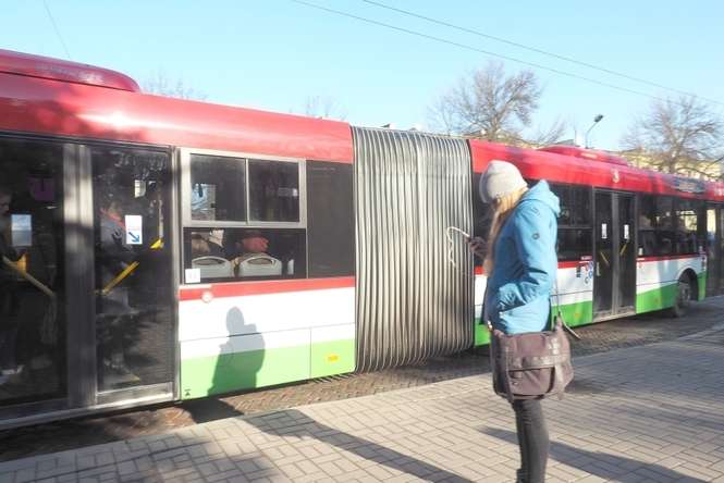 Aktualnie w taborze miejskiej komunikacji jest 56 przegubowych autobusów i 12 przegubowych trolejbusów. Fot. Maciej Kaczanowski<br />
<br />

