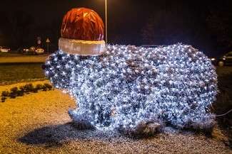 Fot. Urząd Miasta Chełm