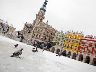 Zamość: Miasto i zima. Potrzebne kontrole