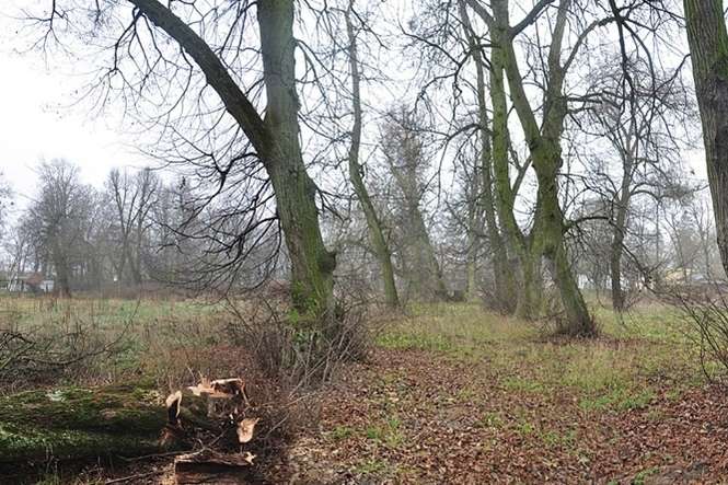 Zdegradowany park w Łęcznej już wkrótce przejdzie całkowitą metamorfozę