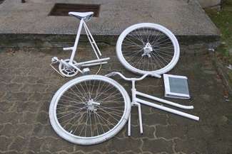 Fot. Tomasz Staszewski