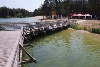 Zoom Natury w Janowie Lubelskim