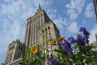 Łąki w mieście. "Lublin jeszcze nie jest na to gotowy"