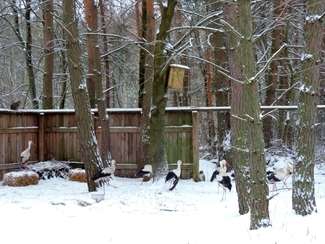 Poleski Park Narodowy: Kłusownicy nie odpuszczają