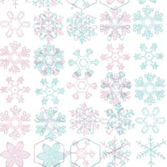 fot. materiały promocyjne