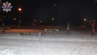 Zniszczył rzeźby, został zatrzymany