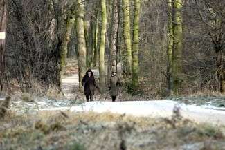 W Krainie Lessowych Wąwozów, do której należą m.in. okolice Kazimierza Dolnego, Wąwolnicy, Nałęczowa czy Końskowoli, jest 160 kilometrów przygotowanych tras do nordic walking