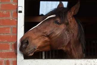 Do zdarzenia doszło w sobotę w Józefowie