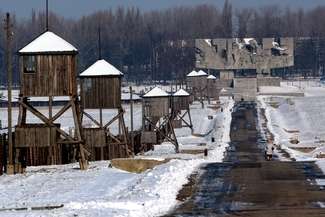Majdanek, fot. Dorota Awiorko