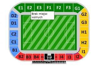 Bilety EURO U21 2017 na mecze w Lublinie rozeszły się błyskawicznie. Trafiły do "koników"?