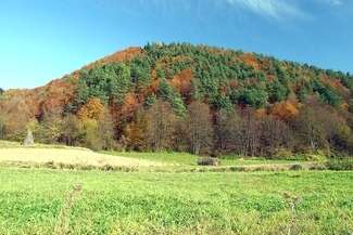 Informacje o swoim odkryciu Gaudnik przekazał już samorządowcom. Fot. Panoramio/Mapy Google
