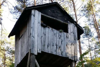 Ukradł ambonę myśliwską i pociął ją na kawałki