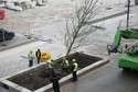 Lublin: Przyjechały drzewa na nowy deptak
