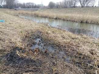 Mieszanka ropy i szamba w Bystrzycy? Straż Miejska: Woda była czysta
