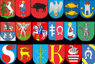 QUIZ: Czy rozpoznasz herby miast z woj. lubelskiego?