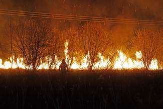 Podpalacze nie odpuszczają. Kolejne pożary traw