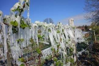 Atak zimy na Lubelszczyźnie? To możliwe. W nocy ma padać śnieg