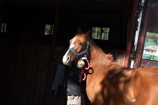 LKJ miał się wynieść, ale nie zrobił tego. MOSiR: "Skierujemy sprawę do sądu"