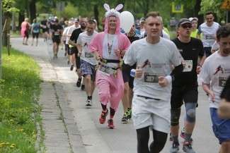 5. Maraton Lubelski: 601 osób dobiegło do mety (wyniki, zdjęcia)