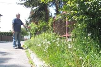 Przez długie lata Piotr Misiec wyręczał odpowiedzialne służby w porządkowaniu pasa drogowego przy swojej posesji. Teraz nie ma już na to siły