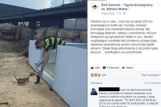 Nieodpowiedzialny ojciec w ZOO. Włożył dziecko za ogrodzenie z drapieżnymi ssakami
