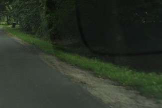 Padłe zwierzę od kilku dni leży przy drodze. Mieszkańcy czekają na uprzątnięcie