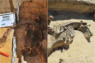 Miejsce dawnej bitwy, przez które przebiega ekspresówka, przeczesują archeolodzy