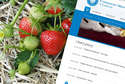 Lekarze na zbiór truskawek w Holandii? Ogłoszenie o pracy na stronie uniwersytetu