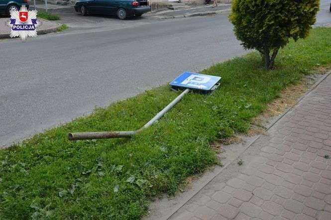 We wtorek w Hrubieszowie pijany 19-latek uderzył samochodem w znak drogowy