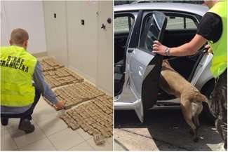 Pies Bryza wywęszył narkotyki ukryte w samochodzie. Były warte prawie 2 mln zł