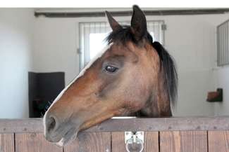 Biuro Rzeczy Znalezionych: Trafiają tam nie tylko telefony