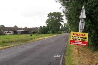 Ministerstwo potwierdza plany budowy płotu na granicy. Żołnierze będą strzelać do dzików?