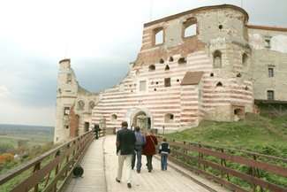 Budowę zamku w Janowcu w 1508 rozpoczął Mikołaj Firlej, późniejszy starosta kazimierski. Kontynuował ją jego syn, wojewoda ruski Piotr Firlej. Był to późnogotycko-renesansowy zamek obronny. Miał możliwość prowadzenia ostrzału wzdłuż obwarowań