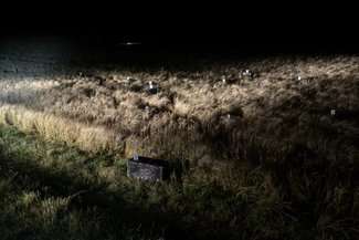 Przeleciał nad polem i zrzucił kartony. Strażnicy się nimi zajęli