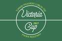 VICTORIA CUP 2017. Charytatywny turniej piłkarski i piknik rodzinny