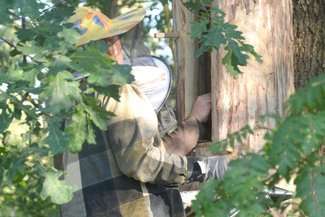 Bartnictwo zanikło w Polsce i niemal w całej Europie pod koniec XIX wieku